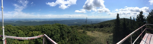 fire tower pano: 4,463'